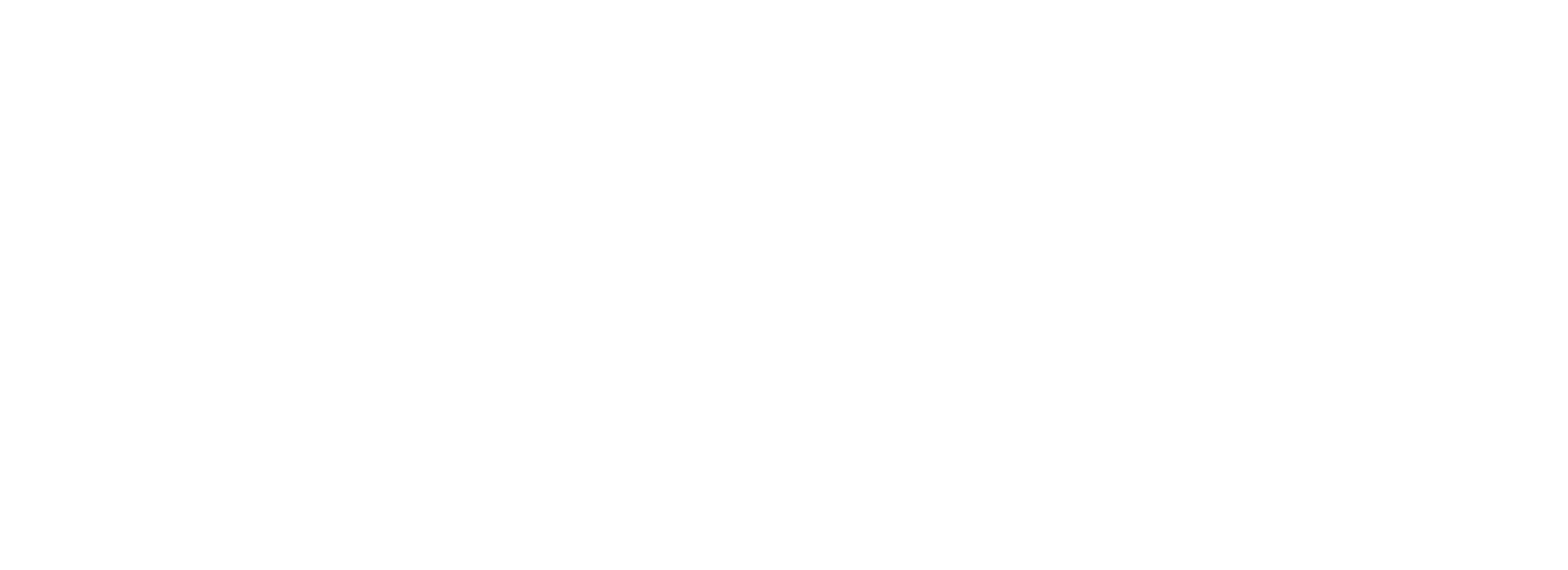 Navigation Consulting